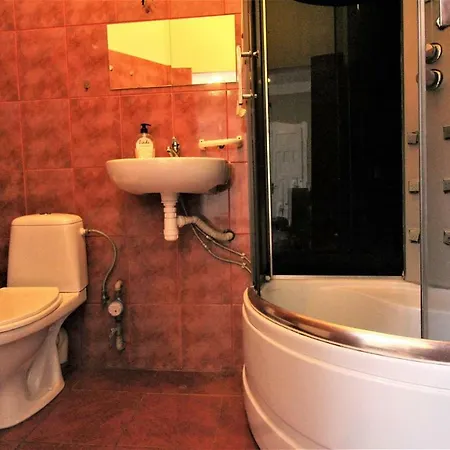 Spacious In The Heart Of *