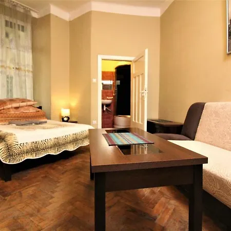 Spacious In The Heart Of Krakau